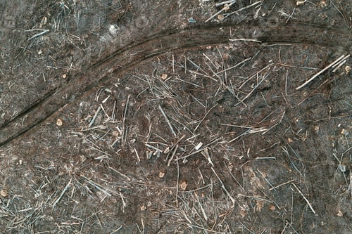 Preview: Aerial view of deforestation scenery, tree logs and stumps on the ground from drone pov