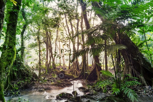 Preview: Pools in Guatemala