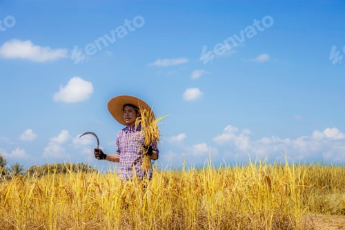 Visualização: Agricultor em pé com uma foice no campo