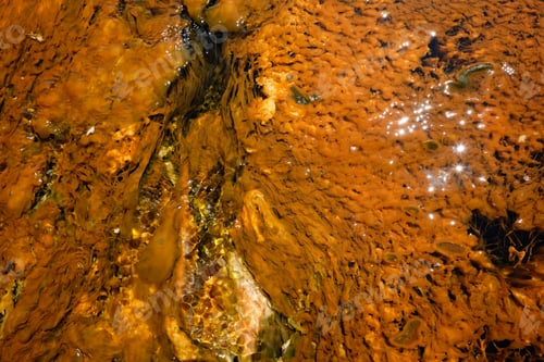 Preview: Hot thermal spring in Yellowstone