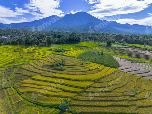 Preview: beautiful morning view indonesia panorama landscape