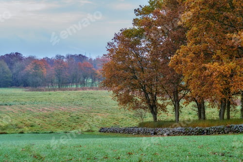 Preview: Beautiful autumn