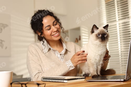 Preview: Beautiful woman with her cute cat working on laptop at desk in home office