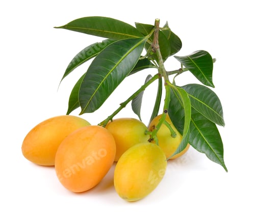 Preview: sweet marian plum thai fruit isolated on white backgroun