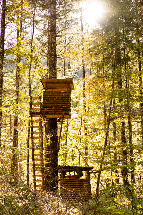 Preview: Hunting lodge in autumn mood