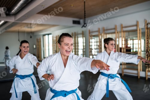 Preview: Group of young women practising karate indoors in gym.