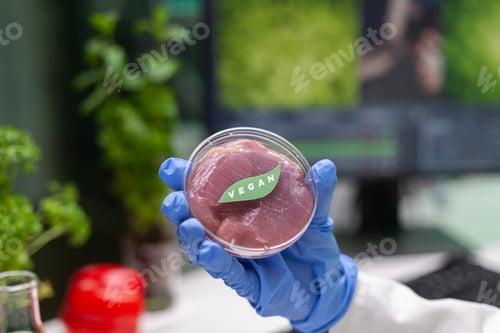 Preview: Closeup of african american scientist holding petri dish with vegan meat in hands
