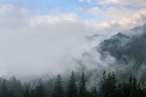 Preview: Mountain landscape in the morning mist after rain