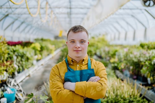 Preview: Young employee with Down syndrome working in garden centre, looking at camera with arms crossed.