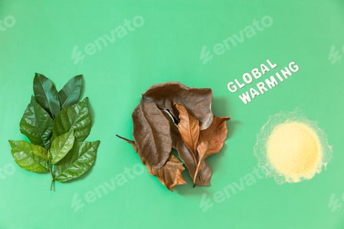 Preview: Flat lay global warming concept