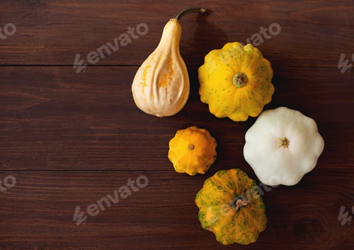 Preview: Healthy food from vegetables. Autumn harvest of pumpkins on wooden board. copy space