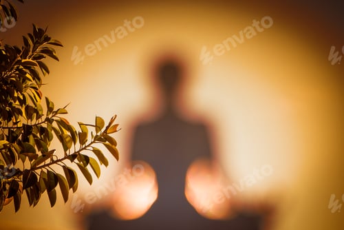 Preview: Shadow of a girl meditating with the leaves of the plant in the foreground