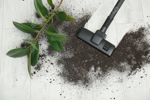 Preview: Removing soil from wooden floor with vacuum cleaner at home, top view
