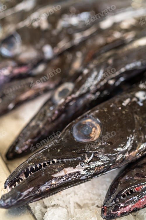 Preview: Fresh fish and seafood on traditional fish market in Funchal at Madeira island, Portugal