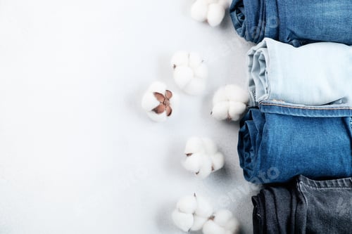 Preview: Row of rolled jeans and cotton flowers on light background