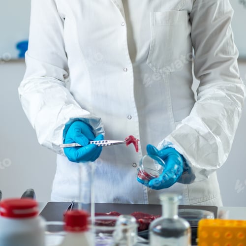 Preview: Food safety