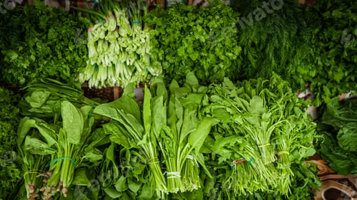 Preview: Fresh organic homegrown herbs and leaf vegetables background