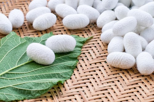Preview: white silk cocoon, silky, fiber