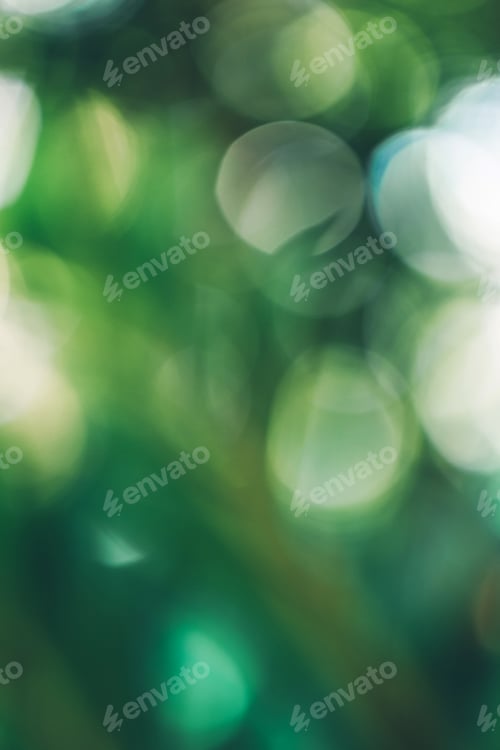 Preview: Close up fresh nature view of green leaf on blurred greenery background