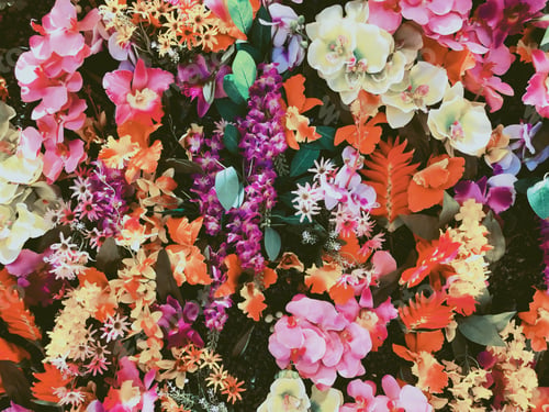Preview: Colorful floral background/backdrop