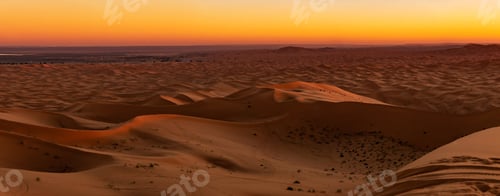 Preview: A Scenic Sahara pictures