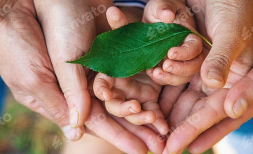Preview: children and parents hold a piece of leaf in their hands. Selective focus.