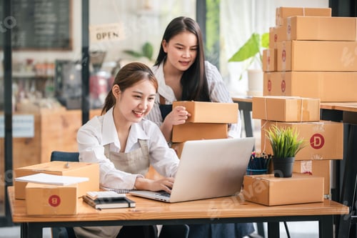 Preview: Small start-up business owners checking parcels at work, freelancers, salespeople, checking producti