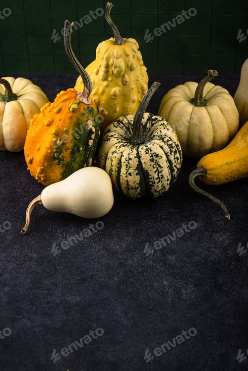 Preview: Decorative pumpkin on green background.
