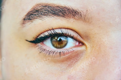 Preview: brown color of a girl's human eye