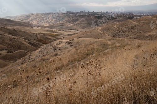 Preview: Dry grass in mountains of Armenia and view on Yerevan city far away