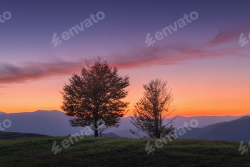 Preview: Beautiful trees on the hill in mountains at sunset in autumn