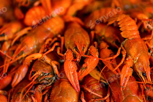 Preview: Tasty red boiled crayfish close up background