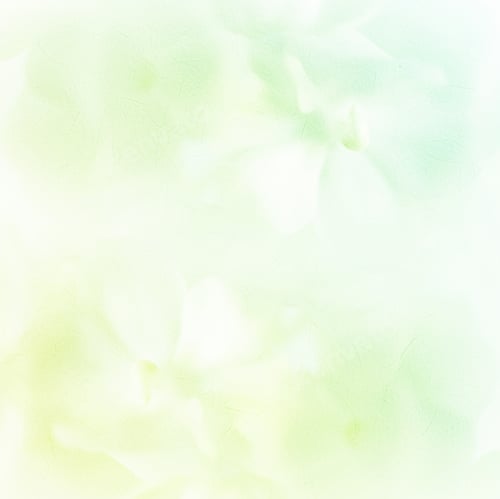 Preview: Vivid Color Roses Flower In Soft And Blur Style On Mulberry Paper Texture