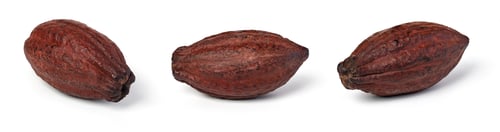 Preview: set of cocoa pod