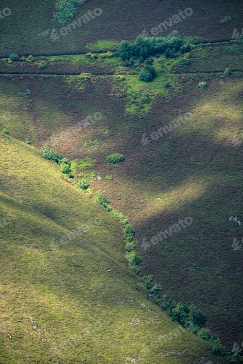 Preview: A row of willows indicates the presence of a stream
