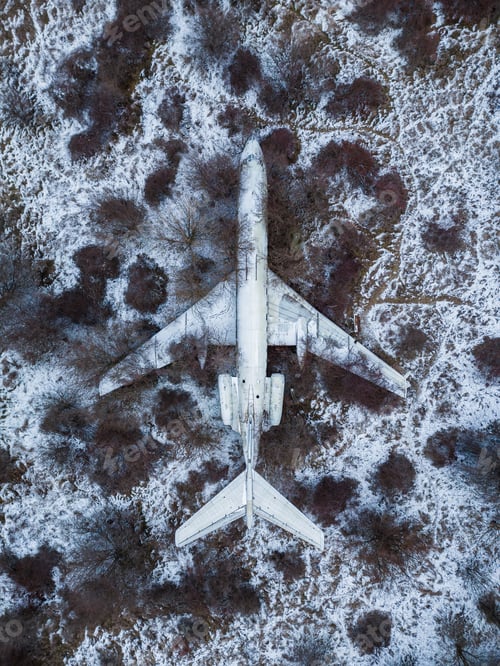 Preview: abandoned passenger plane wreck in the forest in winter