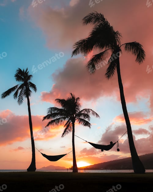 Preview: Vertical shot of silhouettes hammocks attached to palms under the colorful sunset sky