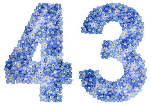 Preview: Arabic numeral 43, forty three, from blue forget-me-not flowers