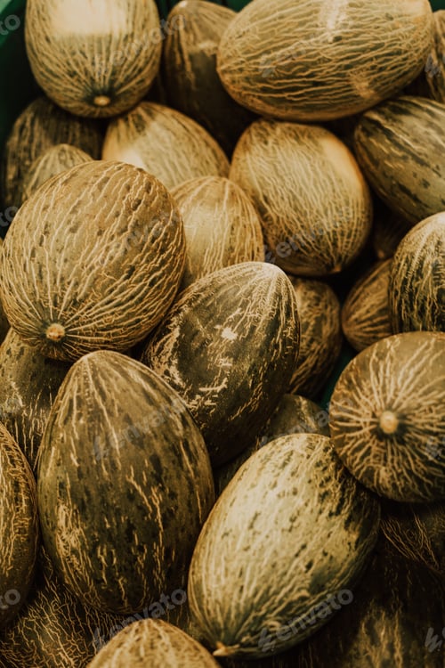 Preview: Group of piled up melons