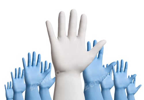 Preview: Hands Wearing Gloves, a White Glove Standout