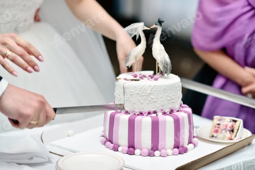 Preview: Beauty bride and handsome groom are cutting a wedding cake