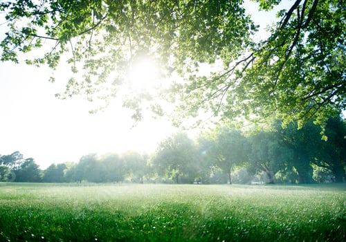 Preview: Green Field Park Environment Scenic Concept