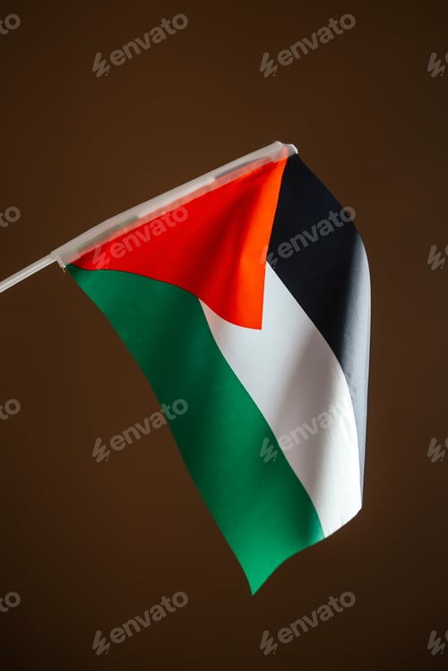 Preview: The flags of Palestine on brown