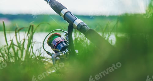 Preview: nature
