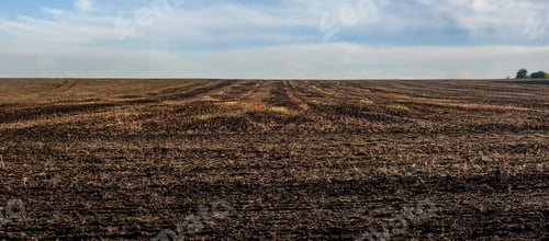 Preview: panoramic view of Buckwheat field after harvest, soil and colorful stubble