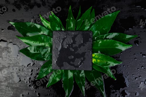 Preview: Creative layout made of leaves with black slate plate card note.