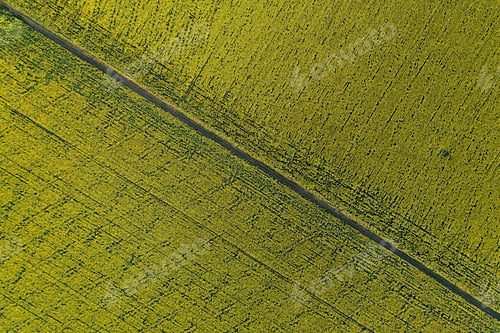Preview: The scenic dirt road through a farm field. Aerial view.
