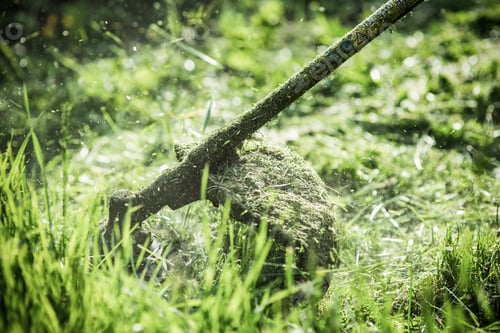 Preview: mowing the grass with a lawn mower, garden work concept background
