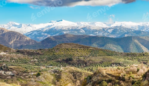 Preview: Flowered Almond trees near Beas de Granada , Spain