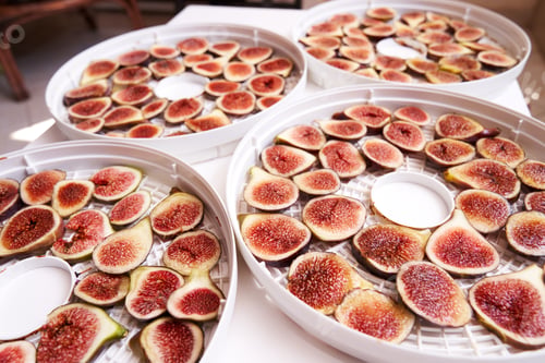 Preview: Fruit drying process on dehydrator on table